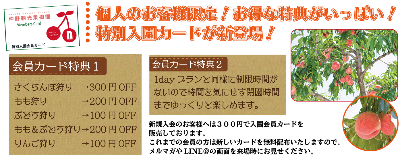 山形県天童市でもも狩りができる観光果樹園 山形県天童市でフルーツ狩り もも さくらんぼ ぶどう りんご を楽しめる仲野観光果樹園