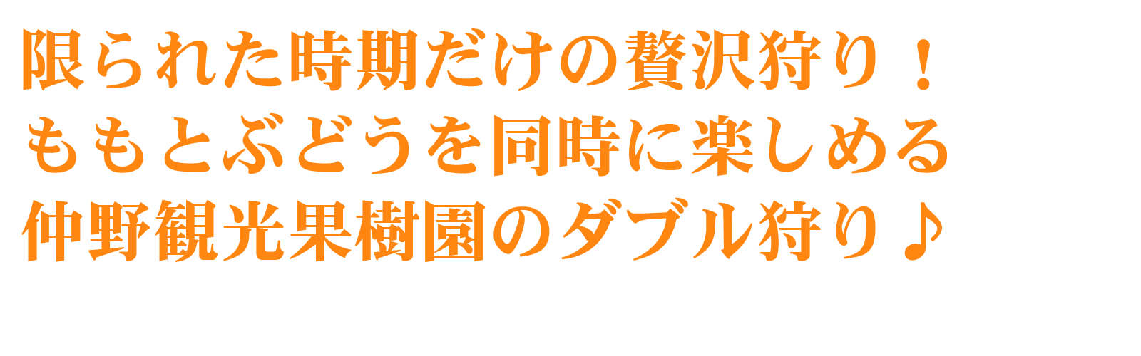 W狩り文字