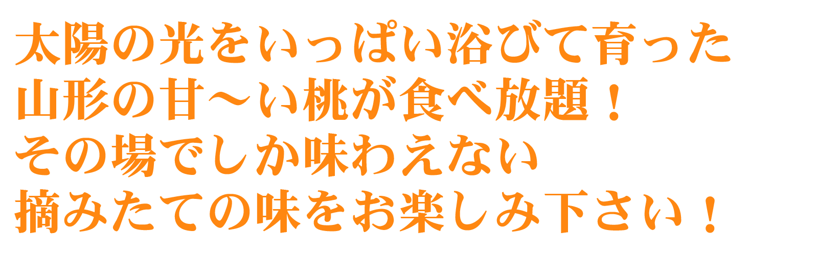 item-momo-text01