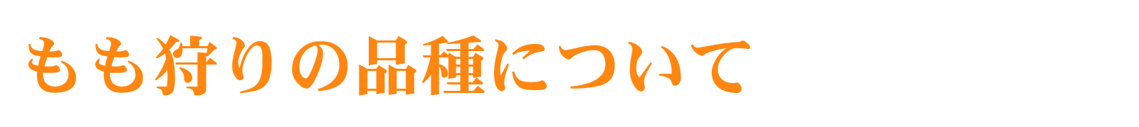 item-momo-text02