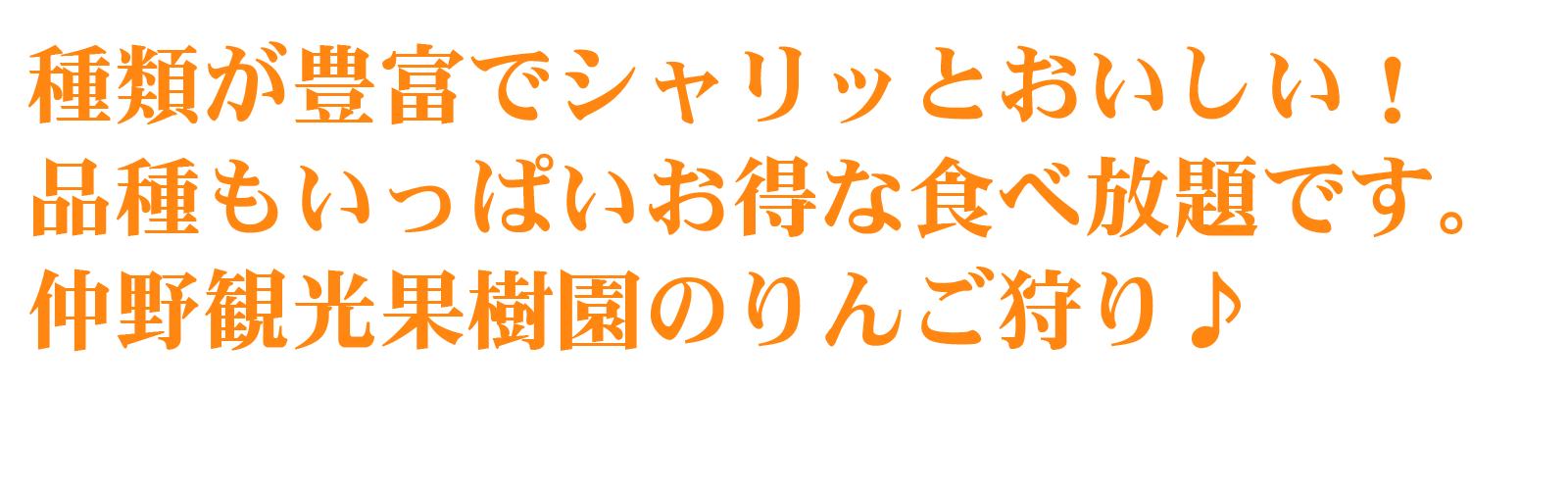 item-rin-text01