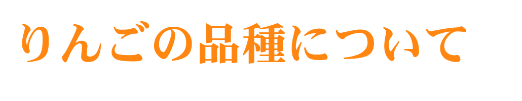 item-rin-text02