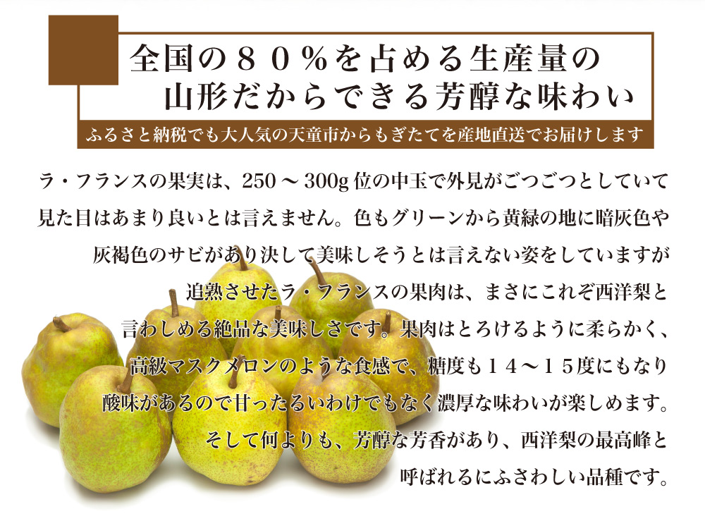 2018ラフランス説明全体01_02