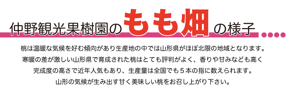 n桃説明全体02_01