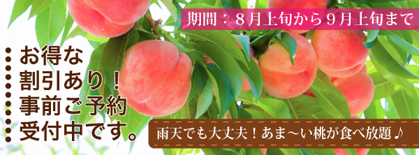 仲野観光果樹園もも狩り
