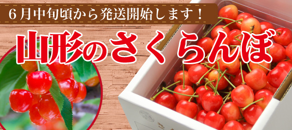 サクランボ通販01