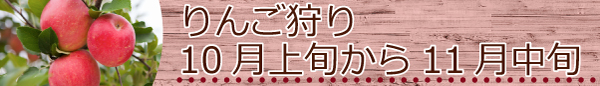 くだもの狩り時期05りんご