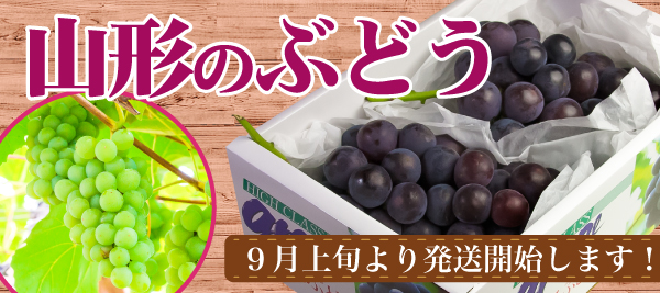 ぶどう通販01