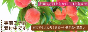 もも狩り01_01