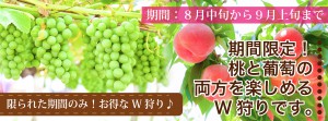 W狩り01_01