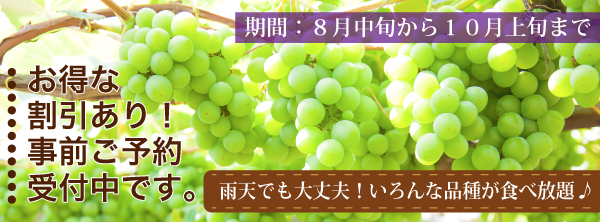 ぶどう狩り01_01