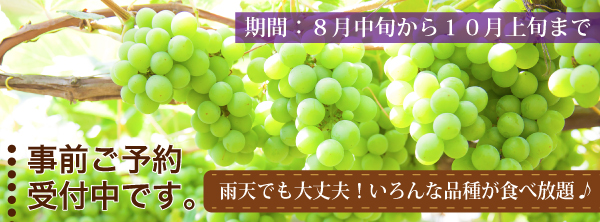 ぶどう狩り01_01
