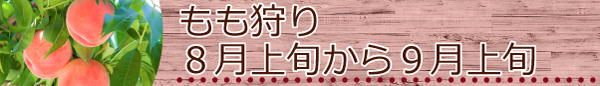くだもの狩り時期05
