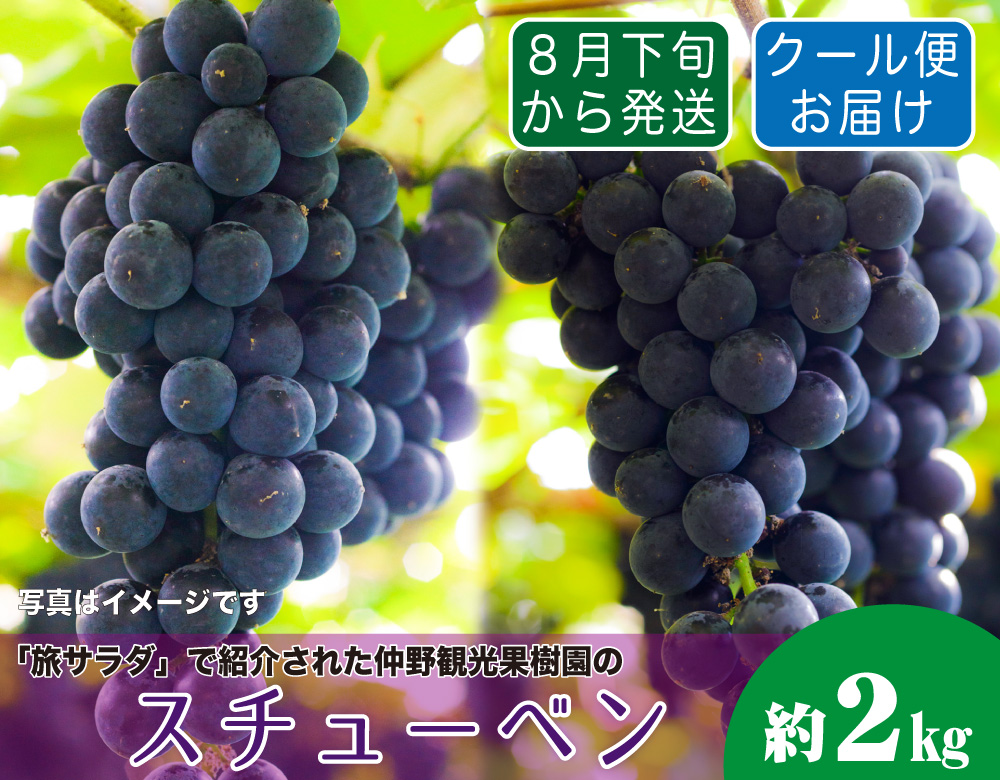 スチューベン2_02