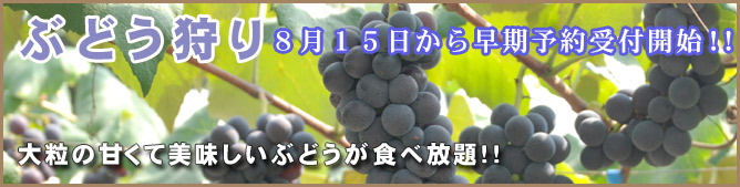main-grape03